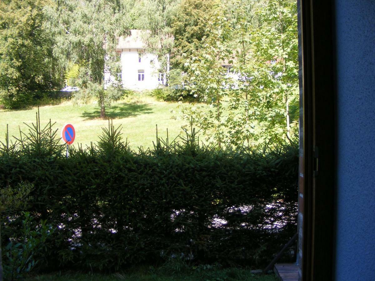 Les Mimosas Apartment La Bresse Bagian luar foto
